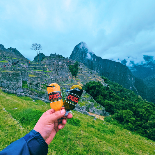 Mini 2oz D. Fuego-2-Go travel hot sauce bottles assortment